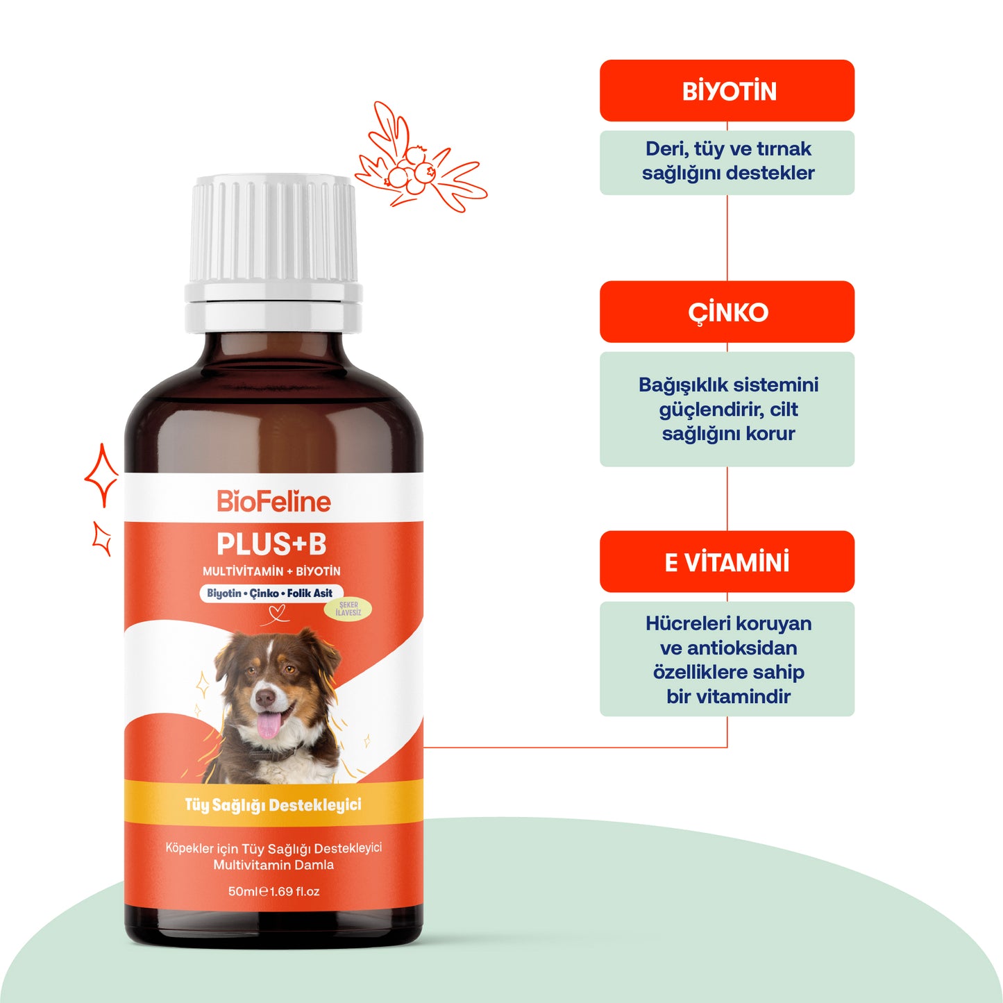 Köpekler İçin Tüy Dökülmesini Azaltan Vitamin Damla | Biotin + Çinko + B Vitaminli Takviye | 50ml