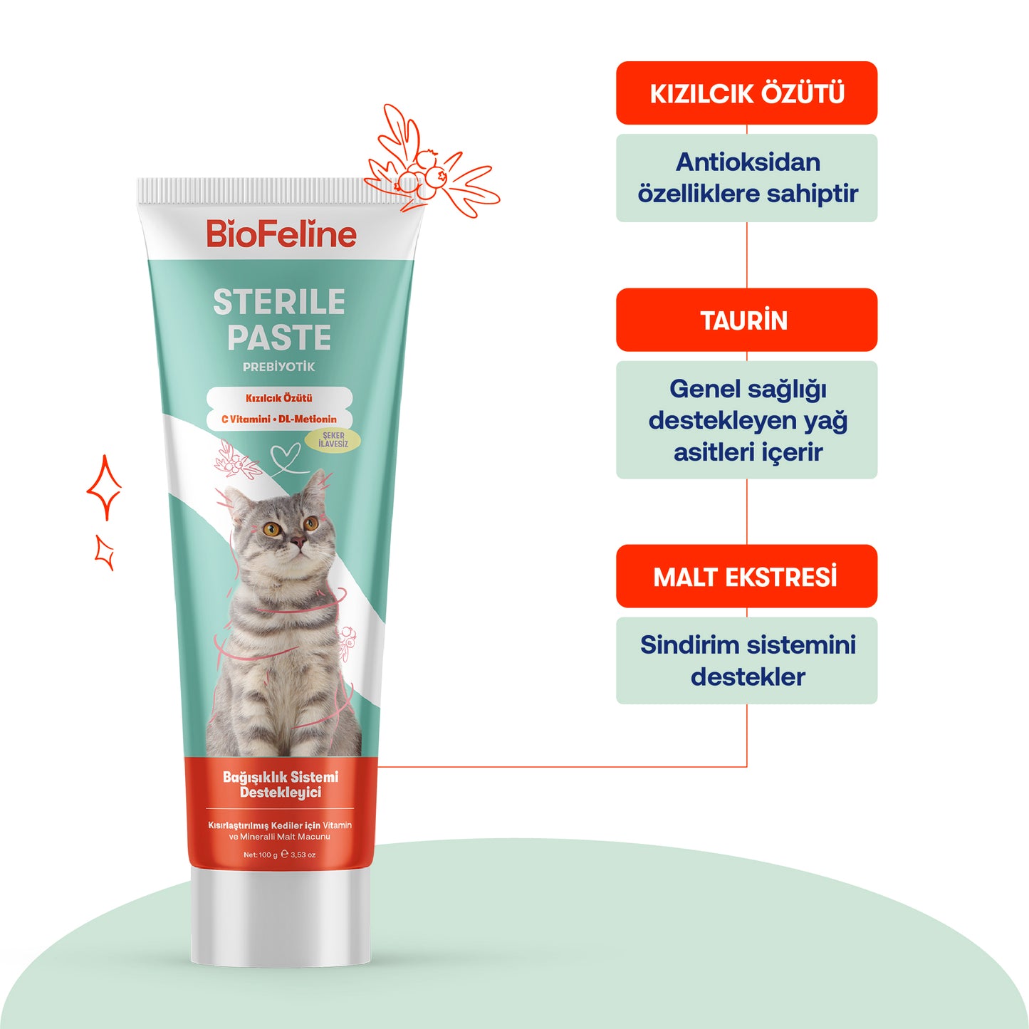 Kısır Kediler İçin Tüy ve Bağışıklık Vitamin Seti | Sterile Macun + Plus B Damla | 100g + 50ml