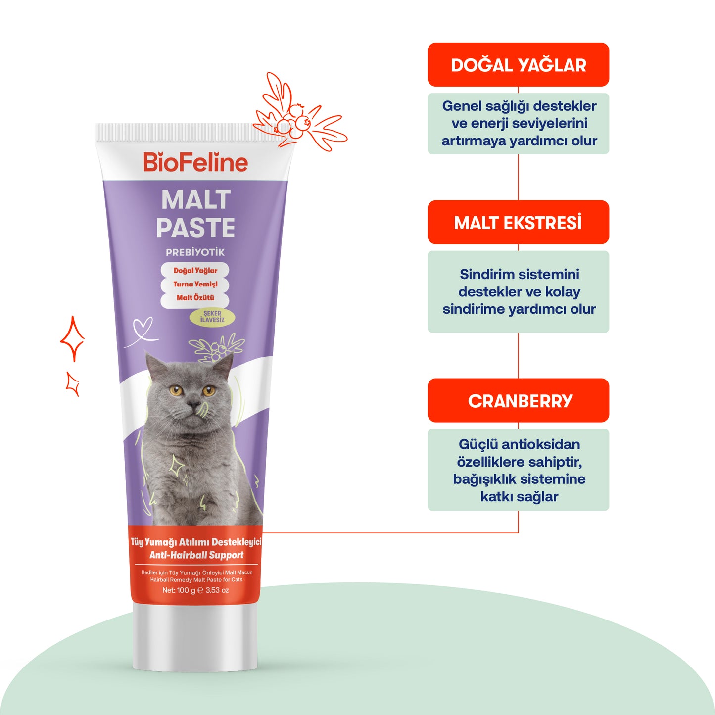Kediler İçin Tüy Yumağı Önleyici Malt Macunu | Anti-Hairball Doğal Destek | 100g