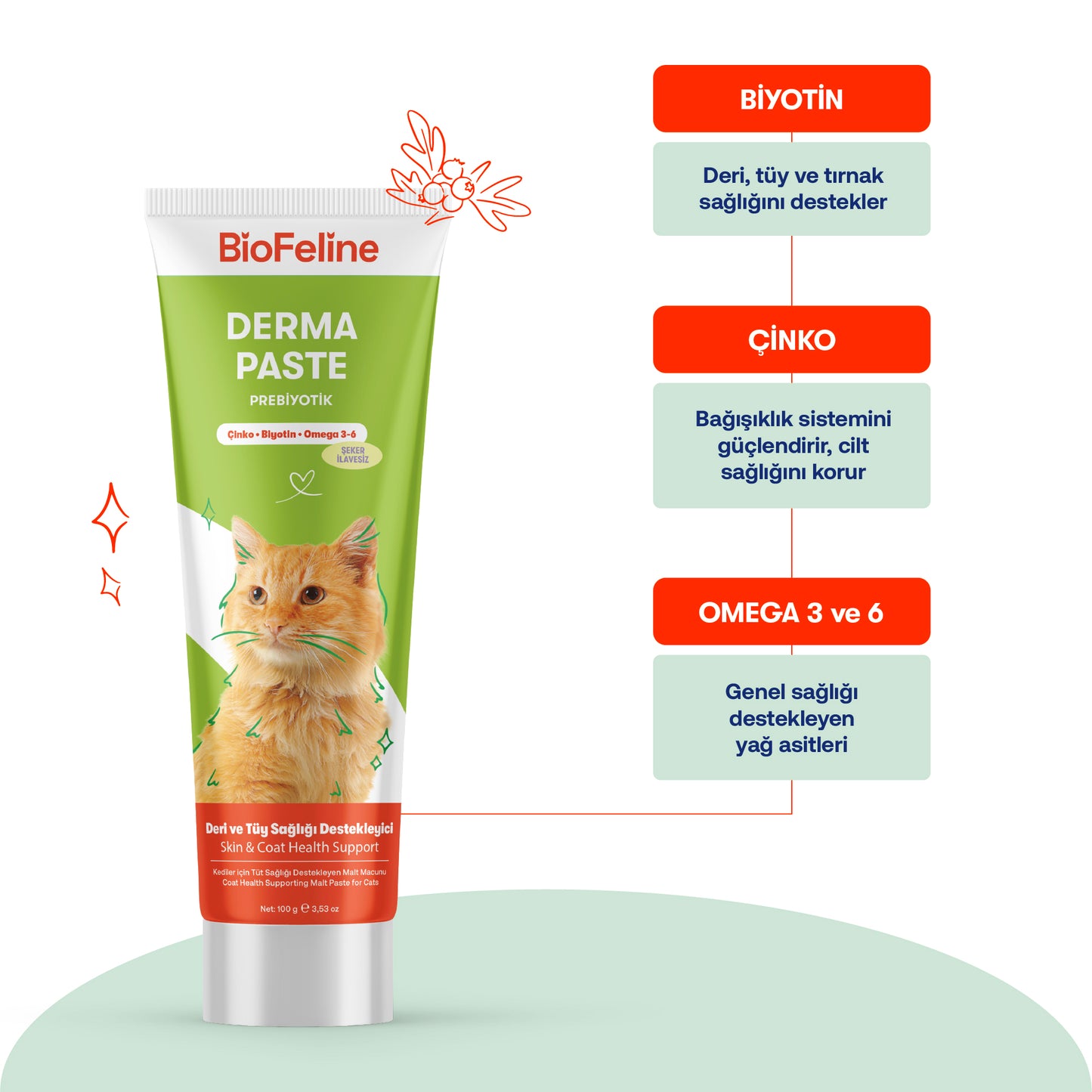 Kedi & Köpekler İçin Deri ve Tüy Sağlığı Macunu | Biotinli Omega 3-6 Destekli | 100g