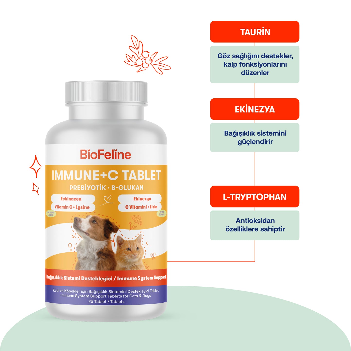 Kediler İçin Stres ve Bağışıklık Desteği Seti | Relax Paste + Immune+C Tablet | 100g + 75 Tablet