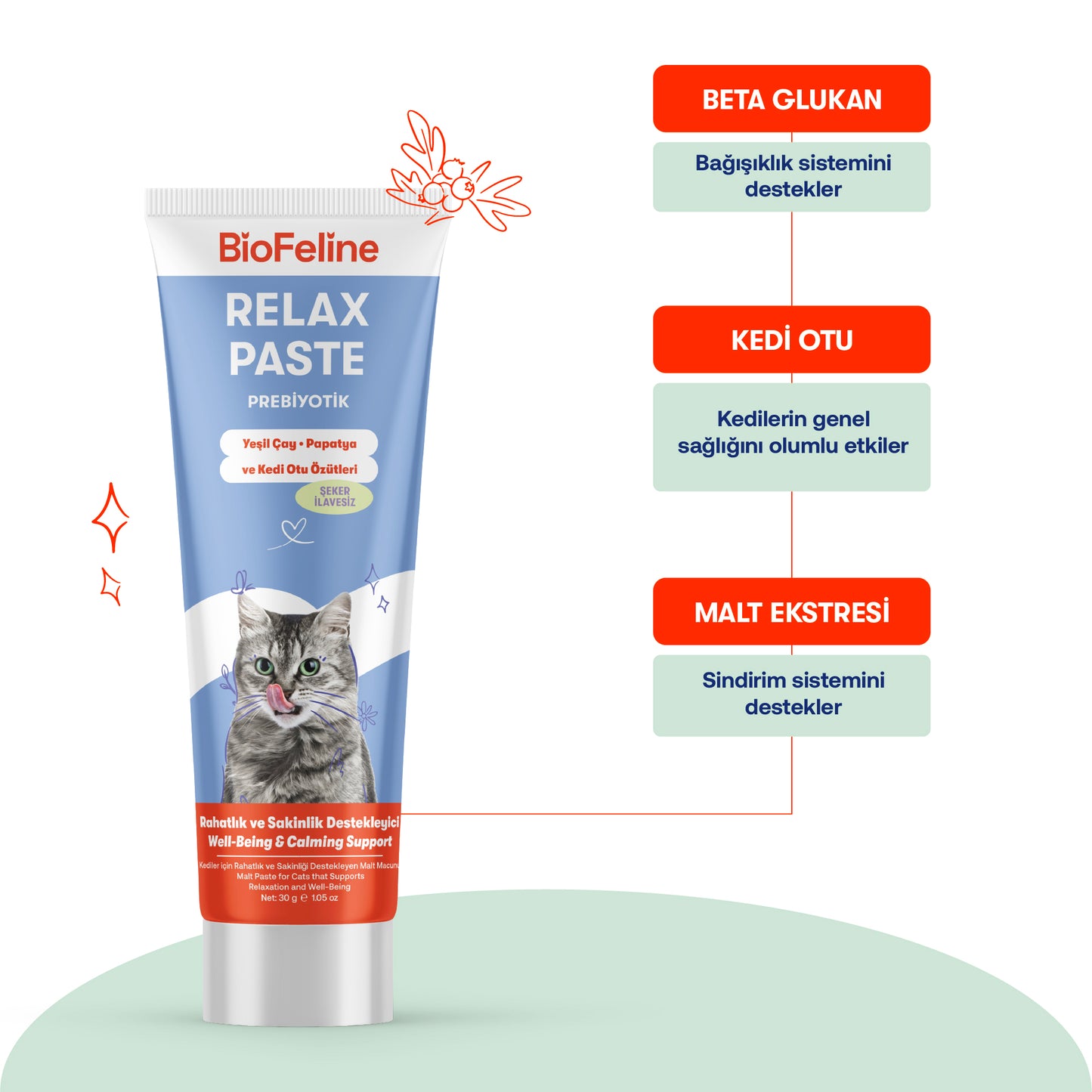 Sakinleştirici Kedi Macunu – Doğal Stres Giderici Kantaron İçerikli (30g)