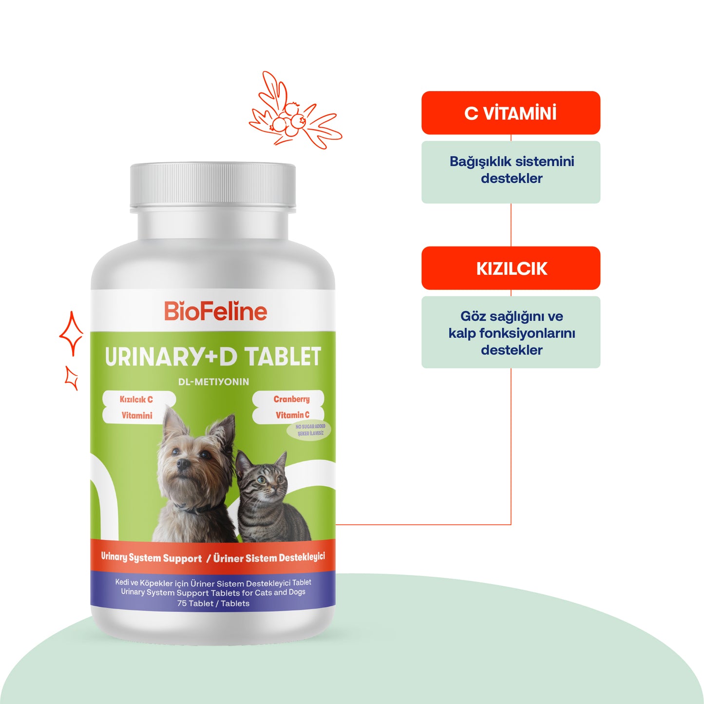 İdrar Yolu Sağlığı Tableti – Kedi ve Köpekler İçin Doğal Üriner Sistem Desteği (D Tablet)