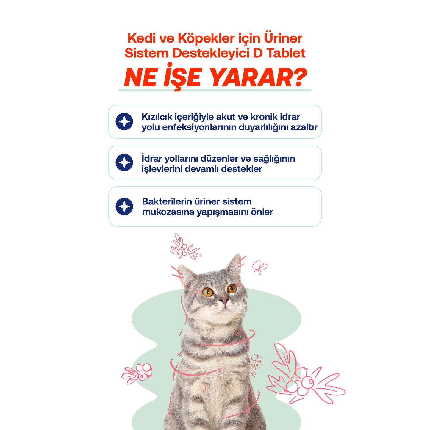 İdrar Yolu Sağlığı Tableti – Kedi ve Köpekler İçin Doğal Üriner Sistem Desteği (D Tablet)