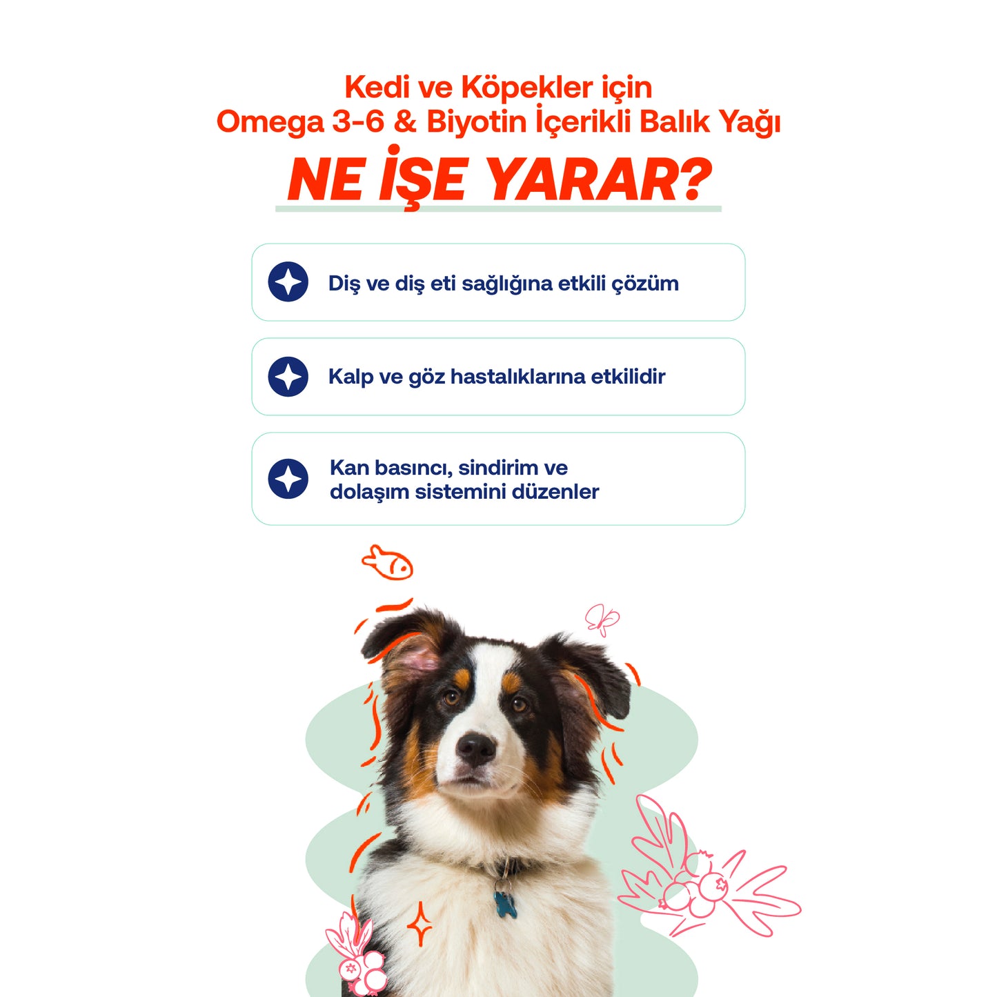 Kedi & Köpekler İçin Somon Yağı + Eklem Destek Tableti Seti | Omega 3-6 + Glukozamin | 200ml + 75 Tablet