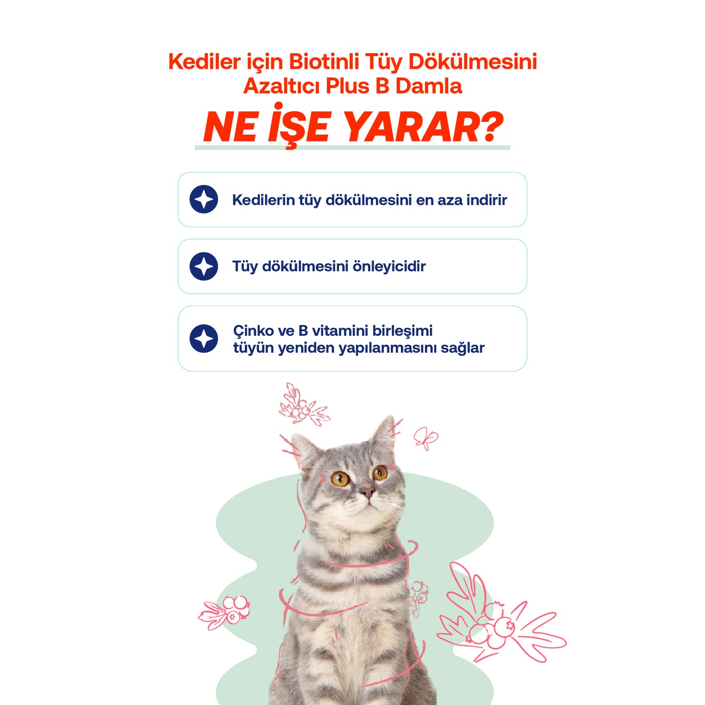 Yoğun Tüy Dökülmesi Azaltıcı Kediler İçin Parlaklık Destek Seti, Balık Yağı + Derma