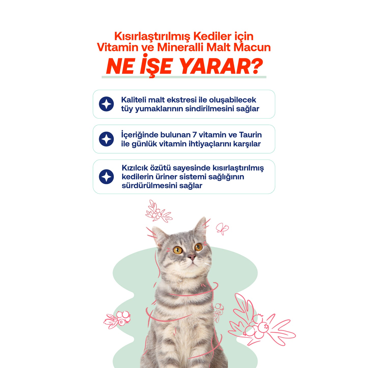 Kısır Kediler İçin Tüy ve Bağışıklık Vitamin Seti | Sterile Macun + Plus B Damla | 100g + 50ml