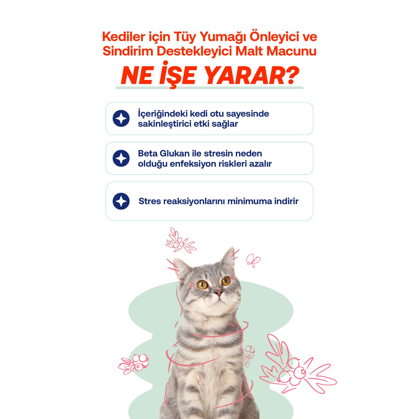 Sakinleştirici Kedi Macunu – Doğal Stres Giderici Kantaron İçerikli (30g)