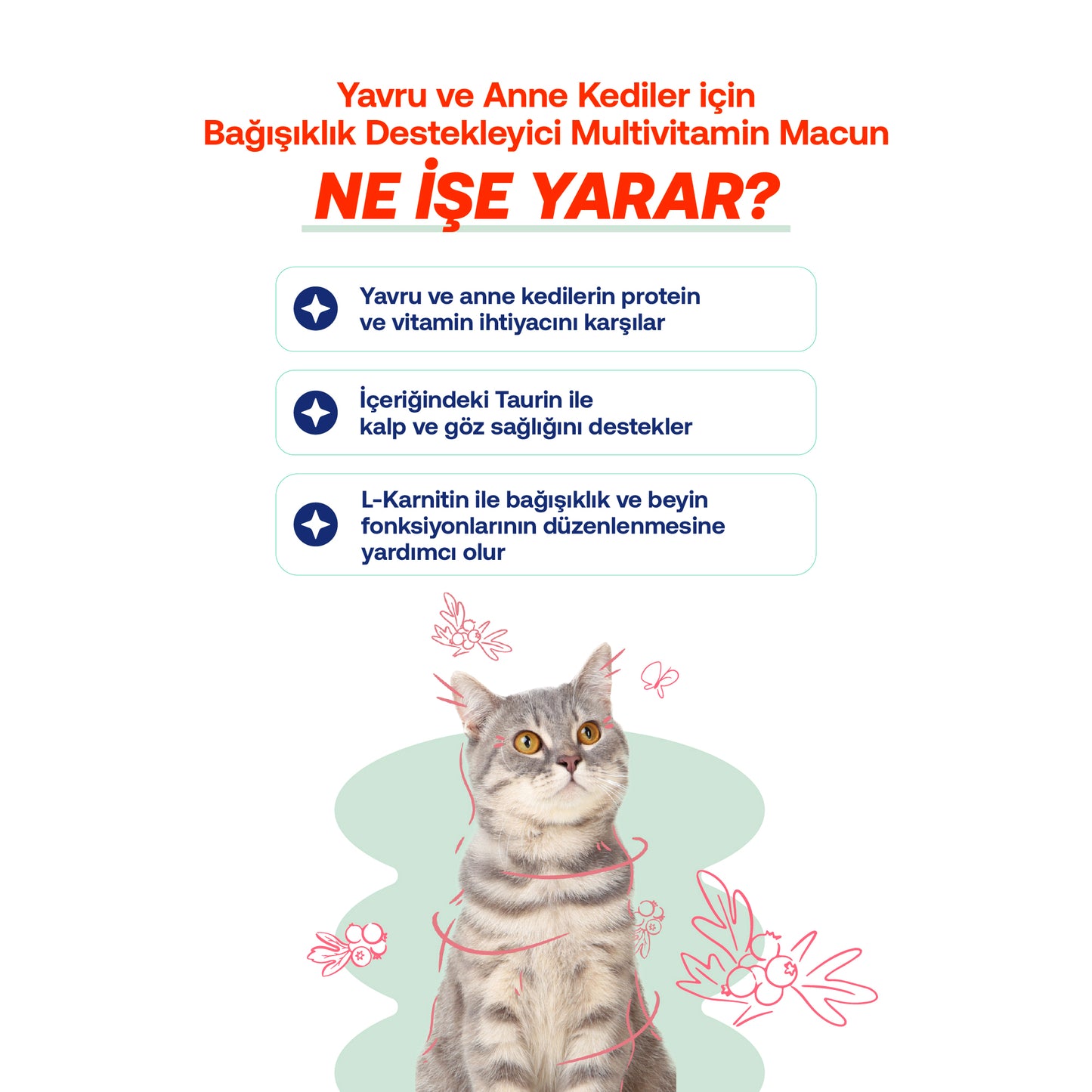 Yavru ve Anne Kediler İçin Multivitamin Macun | Bağışıklık, Kemik ve Tüy Desteği | 100g