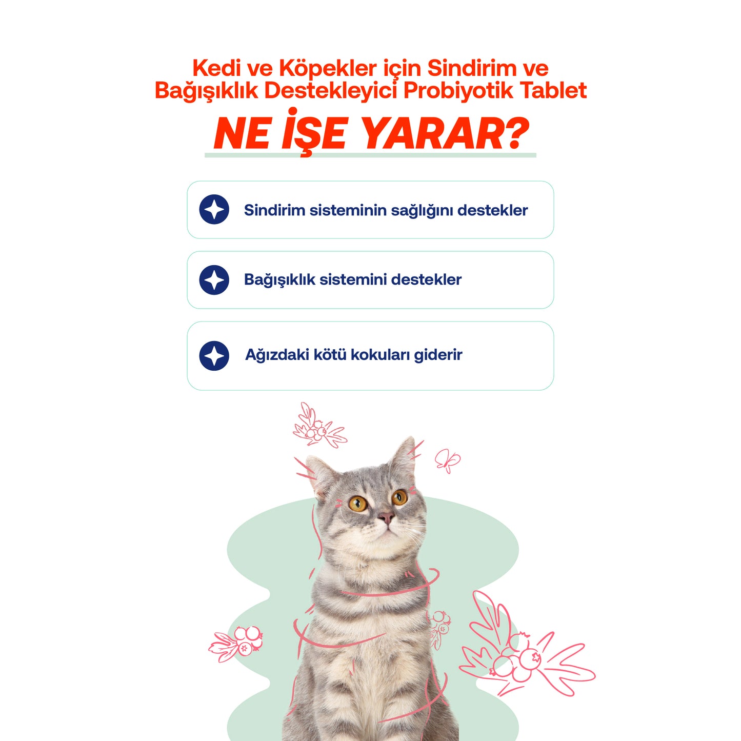Kedi & Köpekler İçin Probiyotik Tablet | Bağışıklık ve Sindirim Takviyesi | 25 Tablet