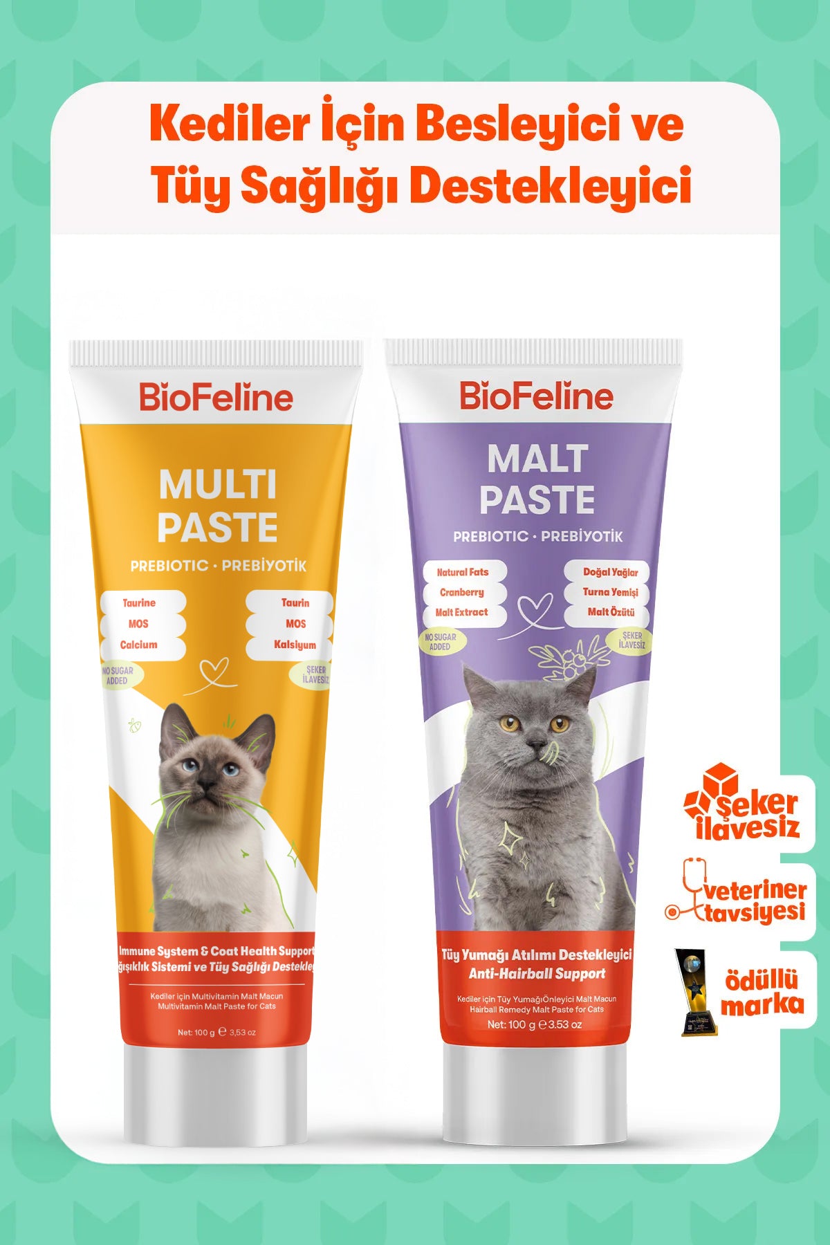 Kedi Macun Seti | Multivitamin + Tüy Yumağı Önleyici Malt Macunu | 2x100g