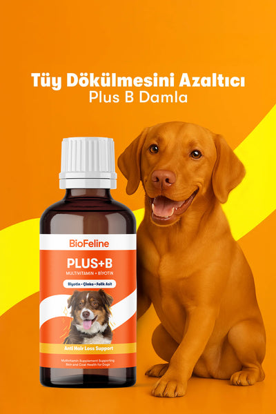 Köpekler İçin Tüy Dökülmesini Azaltan Vitamin Damla | Biotin + Çinko + B Vitaminli Takviye | 50ml