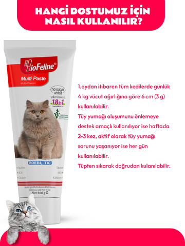 Multi Paste 100g (Kediler İçin Bağışıklık Sistemi Destekleyici Tüy Yumak Önleyici Multivitamin Macun)