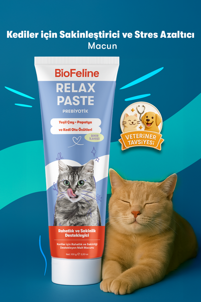 Kediler İçin Sakinleştirici Macun | Doğal İçerikli Relax Paste ile Stres ve Kaygı Azaltıcı Destek | 100g