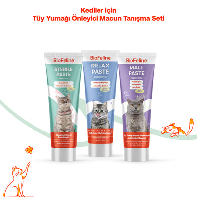 Kediler İçin Tüy Yumağı Önleyici Macun Tanışma Seti - Relax & Malt & Sterile Paste 30gx3