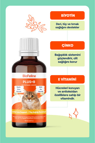 Plus+B For Cats 50ml & Multi Paste 100g