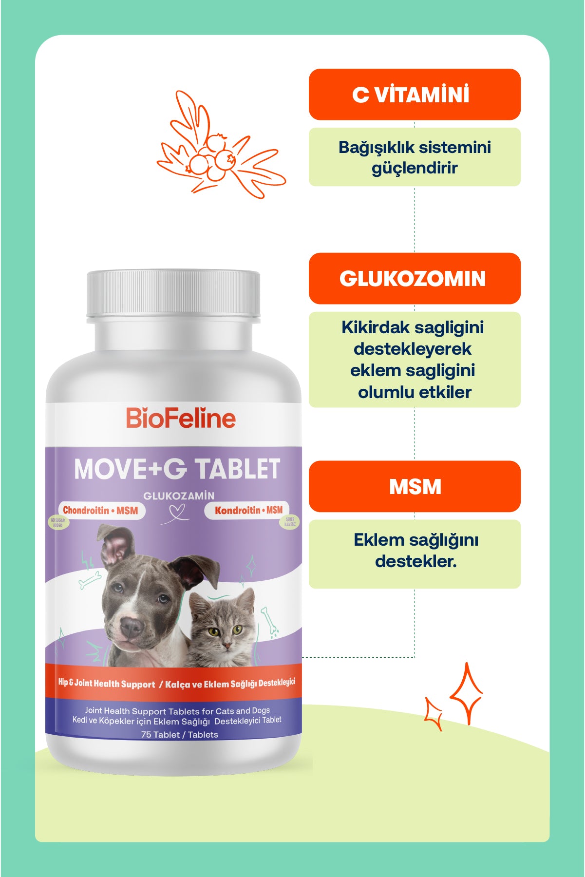 Kedi & Köpekler İçin Somon Yağı + Eklem Destek Tableti Seti | Omega 3-6 + Glukozamin | 200ml + 75 Tablet