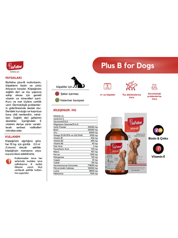 Fish Oil 200ml & Move+G Tablet & Plus+B For Dogs 50ml