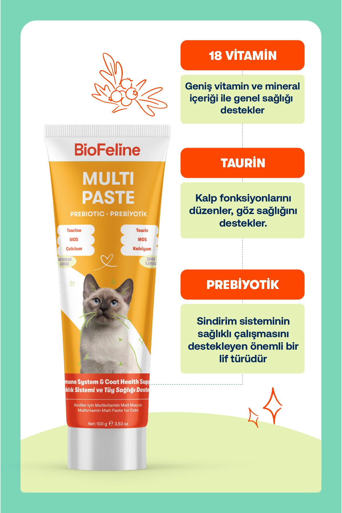 Kedi Macun Seti | Multivitamin + Tüy Yumağı Önleyici Malt Macunu | 2x100g