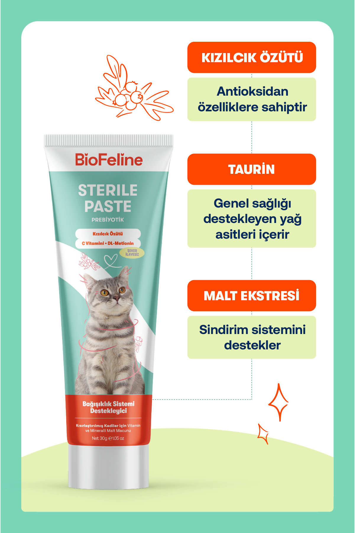 Kısır Kediler İçin Vitaminli Malt Macunu | Tüy Yumağı Önleyici & Üriner Destekli | 30g