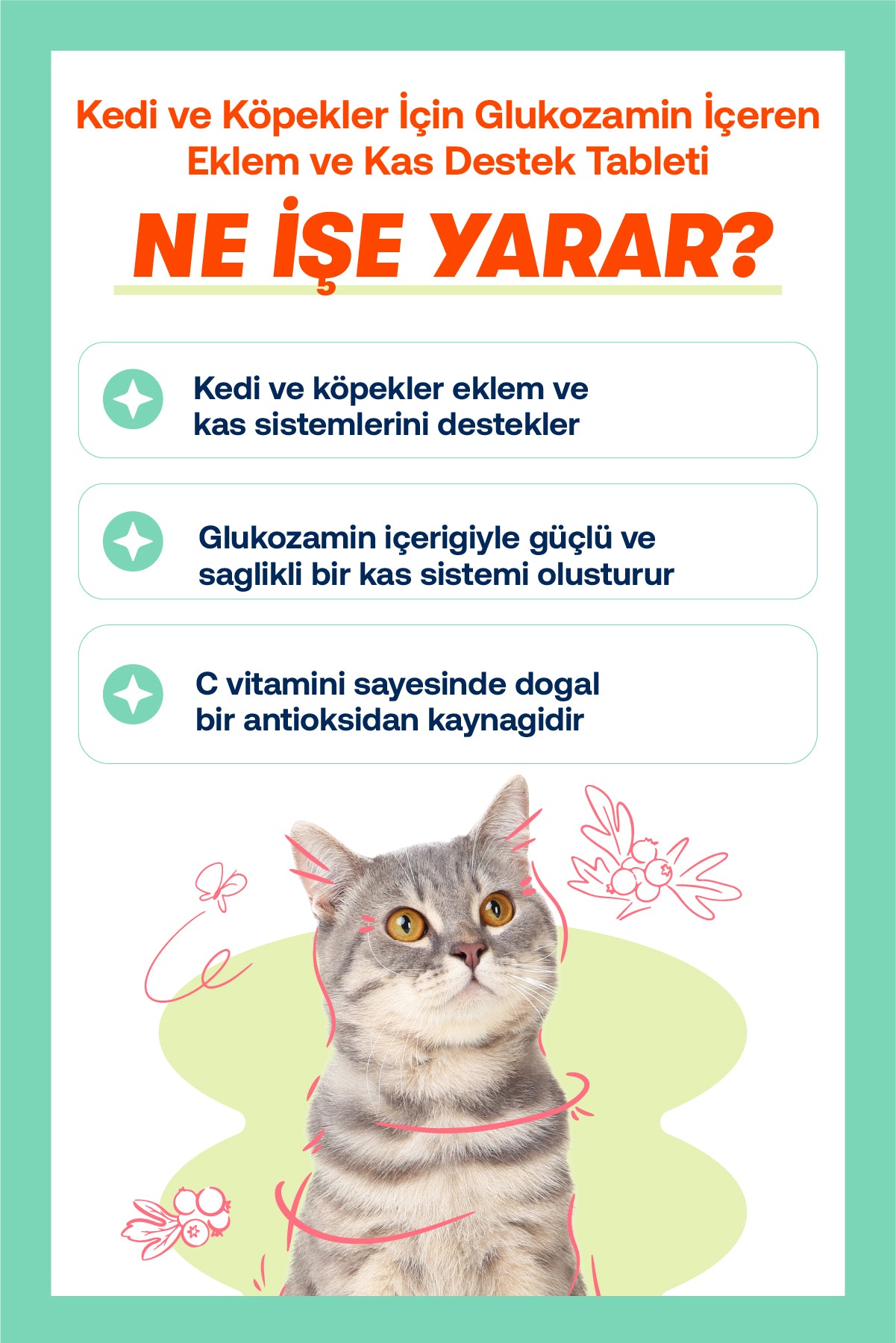 Kedi & Köpekler İçin Somon Yağı + Eklem Destek Tableti Seti | Omega 3-6 + Glukozamin | 200ml + 75 Tablet