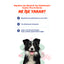 Köpekler İçin Tüy Dökülmesini Azaltan Vitamin Damla | Biotin + Çinko + B Vitaminli Takviye | 50ml