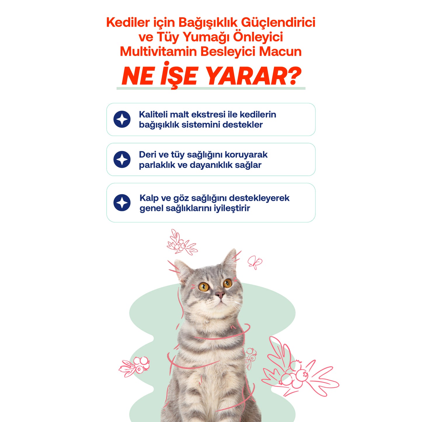 Bağışıklık Düşüklüğü ve Halsizlik Azaltıcı Kediler İçin Multivitamin Destek Seti