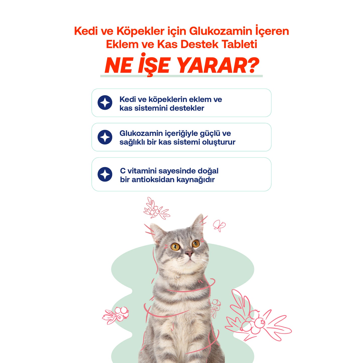 Eklem Sertliği ve Bağışıklık Düşüklüğü Azaltıcı Kedi ve Köpek Tablet Seti 75 Adet