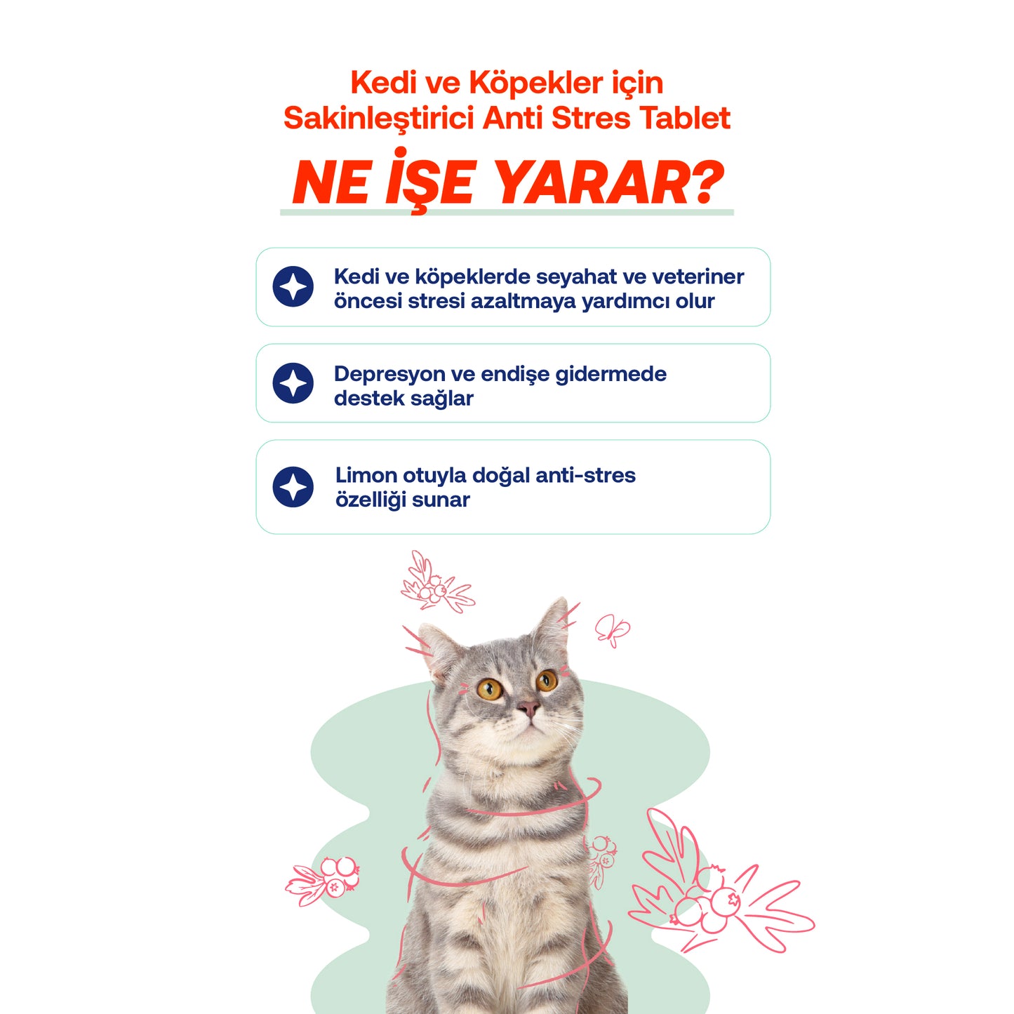 Kedi & Köpekler İçin Bitkisel Sakinleştirici Tablet | Calm+ Anti-Stres Desteği | 75 Tablet