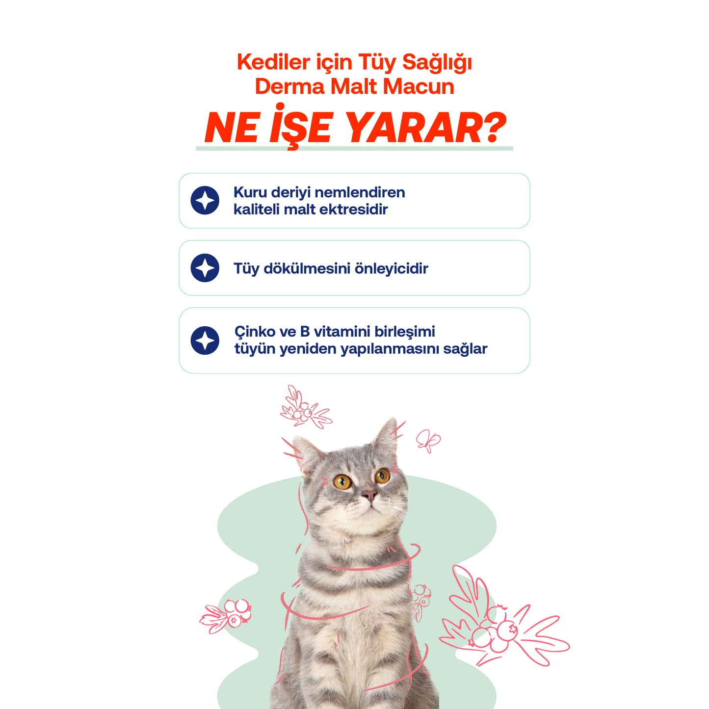 Yoğun Tüy Dökülmesi Azaltıcı Kediler İçin Parlaklık Destek Seti, Balık Yağı + Derma