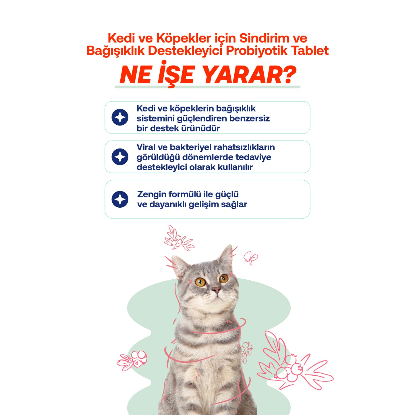 Bağışıklık Düşüklüğü ve Halsizlik Azaltıcı Kediler İçin Multivitamin Destek Seti