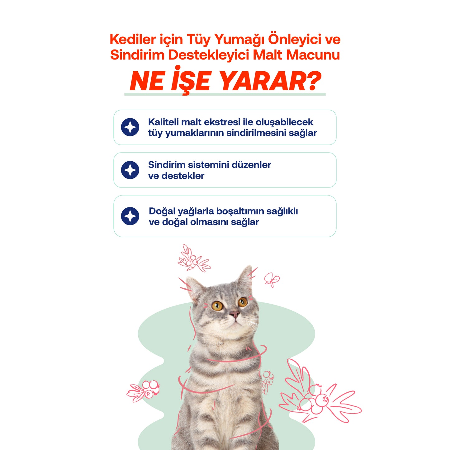 Tüy Yumağı Önleyici Kedi Maltı – Doğal Sindirim Destekli Macun (30g)