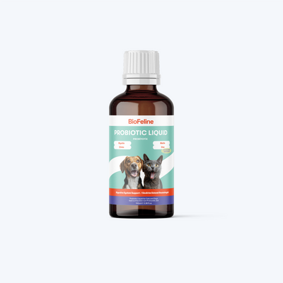 Kedi & Köpekler İçin Sıvı Probiyotik | Bağışıklık ve Sindirim Takviyesi | 100ml