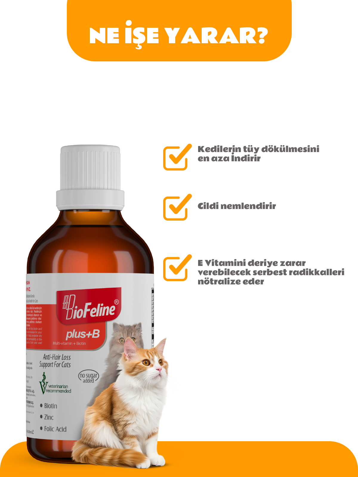 Plus+b for Cats 50ml (Kediler İçin Tüy Dökülmesi Engelleyici Biotin Tüy Sağlığı Damlası)