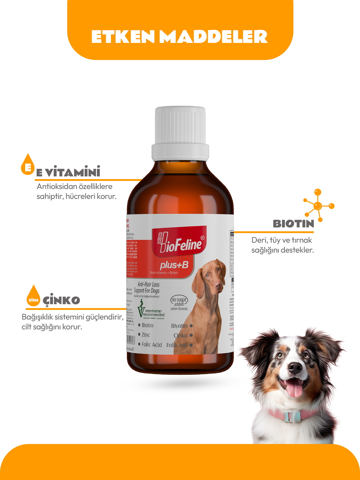 Plus+b For Dogs 50ml (Köpekler İçin Tüy Dökülmesi Engelleyici Biotin Tüy Sağlığı Damlası)