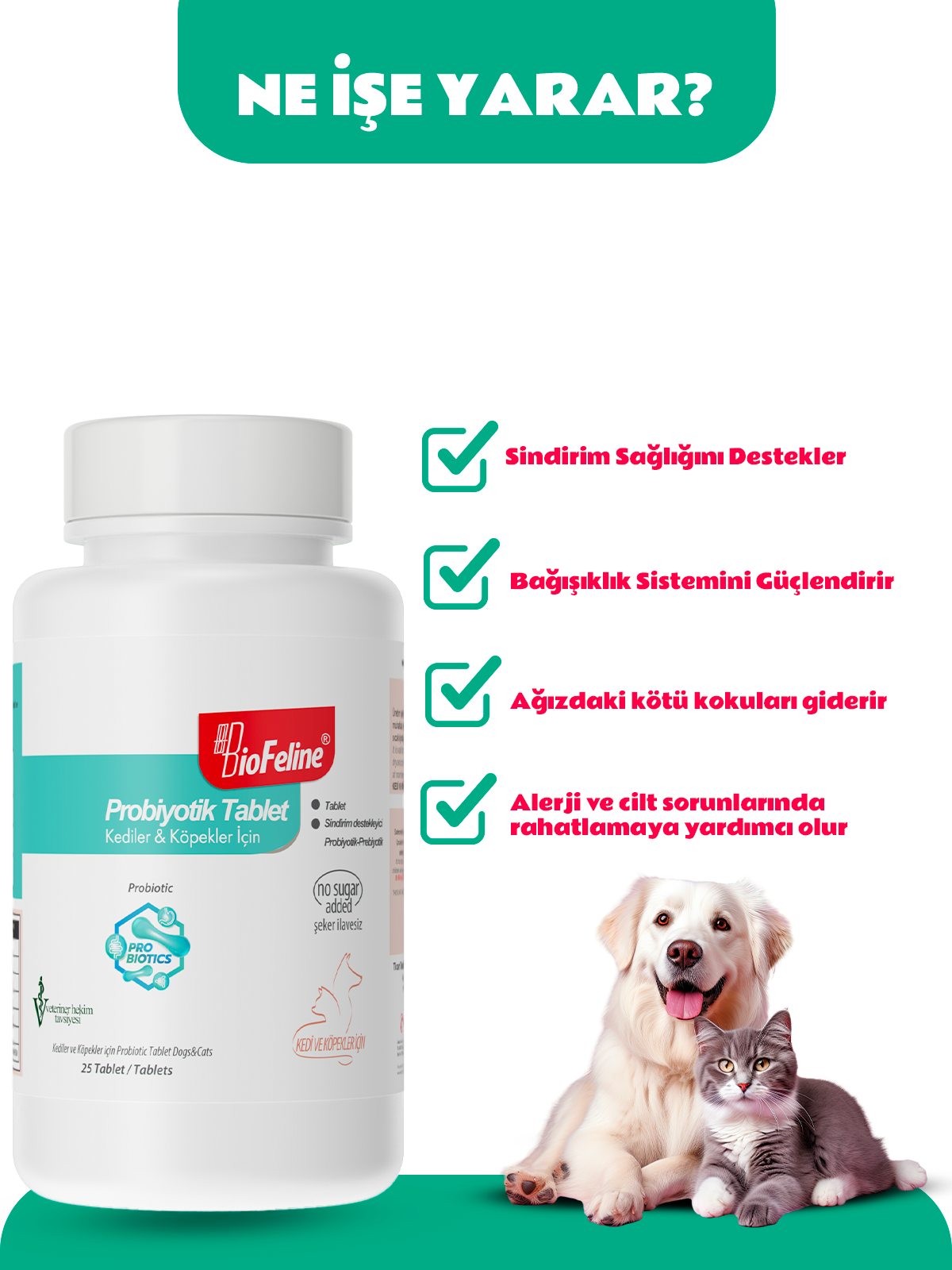 Tablet Probiyotik Kedi ve Köpek Bağışıklık Güçlendirici 25 Tablet