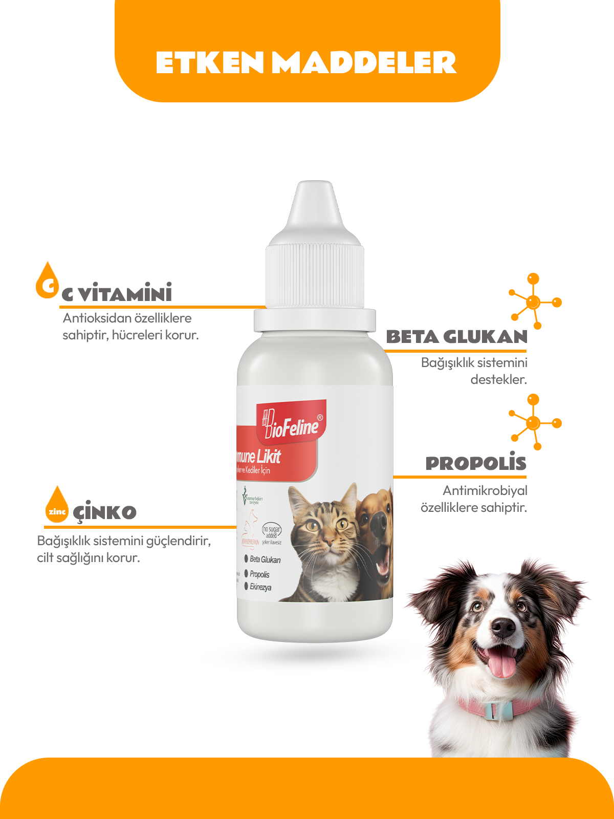Biofeline Immune Sıvı Kedi & Köpek Bağışıklık Güçlendirme C Vitamini