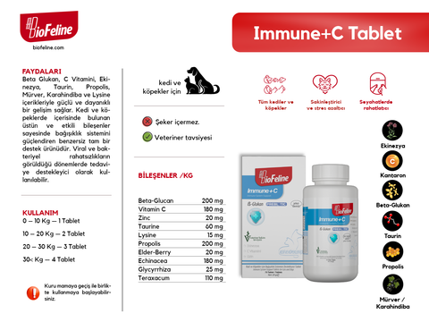 Kitten Paste 100g & Immune+C Tablet